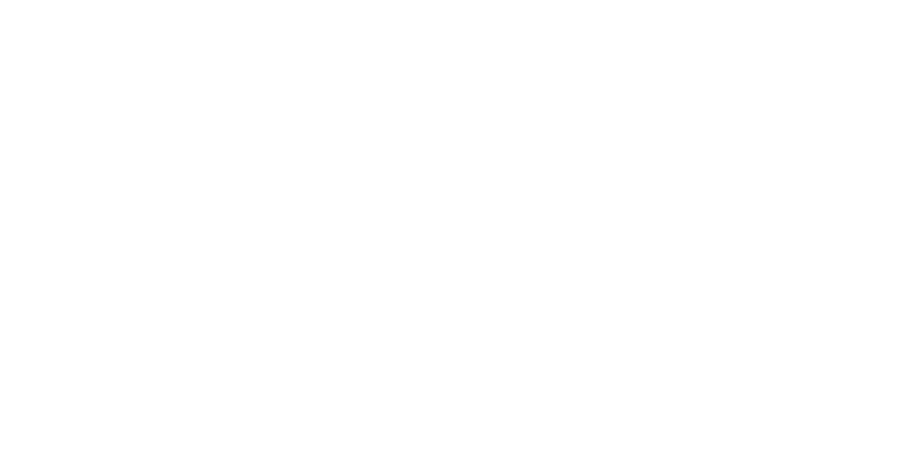 Spin center Izlake logotip
